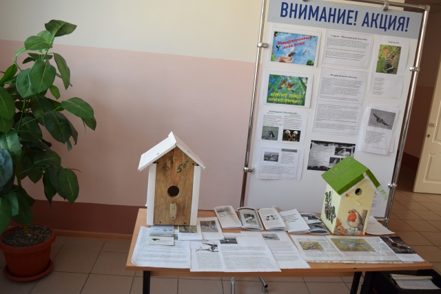 День птиц 2016